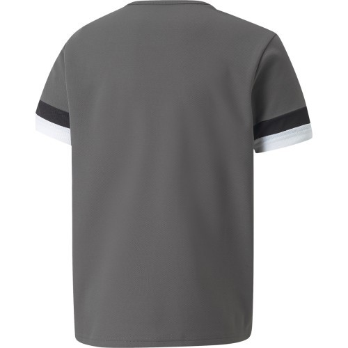 Подростковая футболка Puma TeamRise Jersey Grey 704938 13