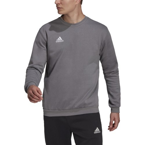 Adidas Ent22 Sweat Top vīriešu džemperis pelēks H57479
