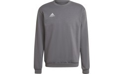 Adidas Ent22 Sweat Top vīriešu džemperis pelēks H57479