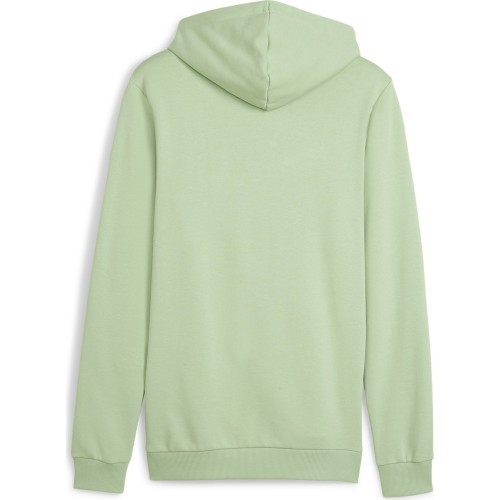 Мужской свитшот Puma Ess+ 2 Col Small Green 680990 95