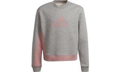 Спортивный костюм для девочек Adidas G Bos Co Ts Grey Pink H57225