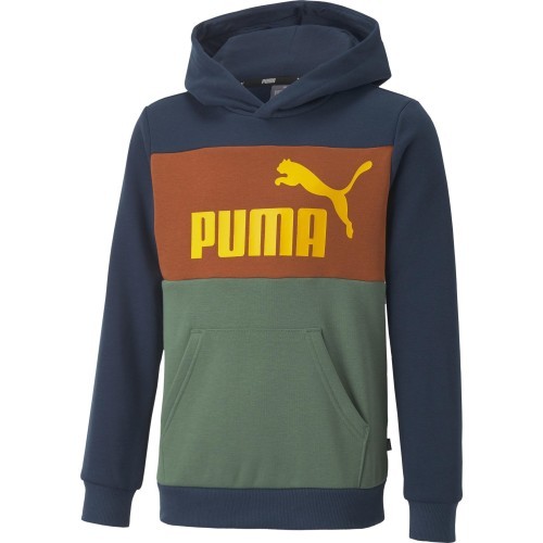 Puma Džemperis Paaugliams Ess Block Hoodie Brown Green Blue 849081 73