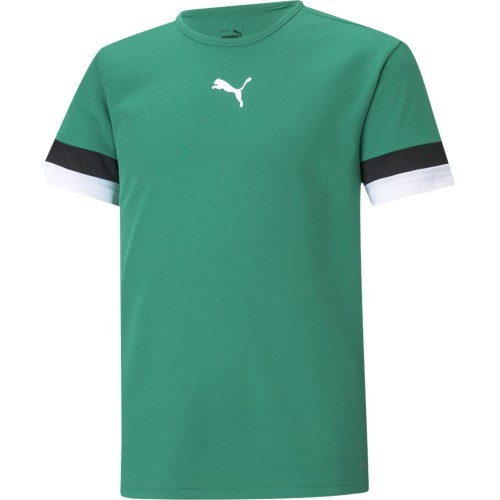 Футболка для подростков Puma TeamRise Jersey Green 704938 05