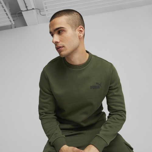 Puma vīriešu džemperis Ess Small Logo Crew Fl Green 586683 31