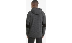 Мужская толстовка Puma Evostripe FZ Hood Grey 585811 01