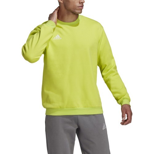 Adidas vīriešu džemperis Ent22 Sw Top HC5049