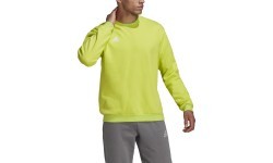 Мужская толстовка Adidas Ent22 Sw Top HC5049