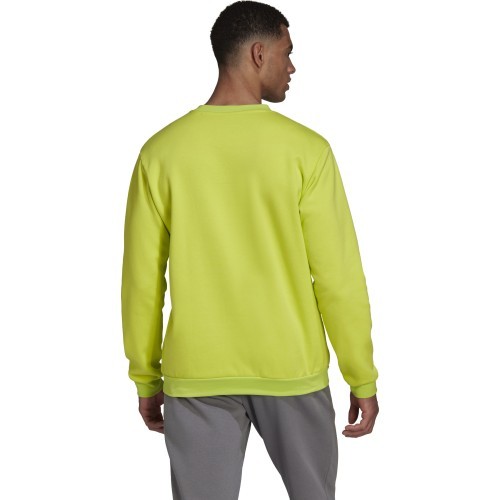 Adidas vīriešu džemperis Ent22 Sw Top HC5049
