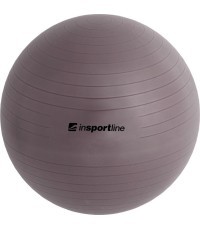 Vingrošanas bumba + sūknis inSPORTline Top Ball 65cm - Grey