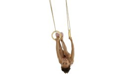 Gym Rings KBT