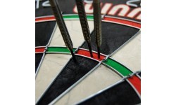 WINMAU SFB DARTBRD