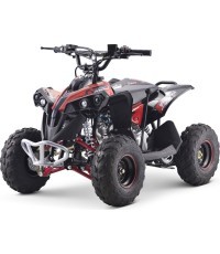 Benzīna kvadricikls Renegade 110CC, sarkans