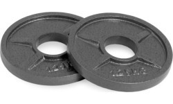 1.25 kg Iron Olympic Plate Set