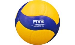 Volleyball Mikasa V200W