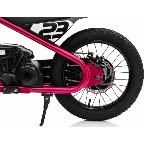 Motor BAIGOR 23 PRO Pink