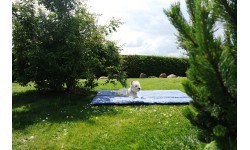 Amazonas Picnic blanket 'Molly' w. thermo fill