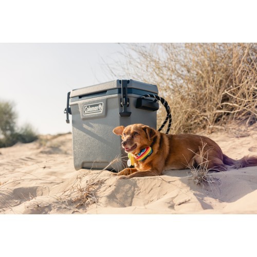 Coleman Ice box 'Convoy' 28qt
