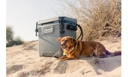 Coleman Ice box 'Convoy' 28qt