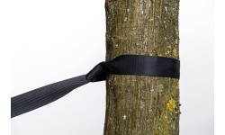 Siksna TREE HUGGER, Amazonas