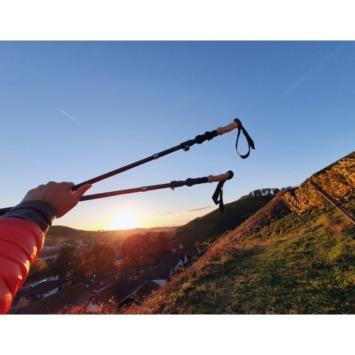 Origin Outdoors Trekking Poles 'Micro-Fold'