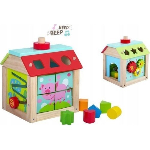 Koka izglītojošs kuba šķirotājs ar klučiem Ecotoys