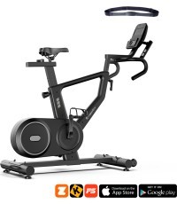 Exercise Bike inSPORTline ZenRoute 250