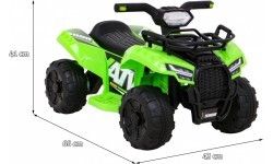 Vehicle Quad Storm Green