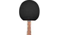 Galda tenisa rakete inSPORTline Shootfair S4