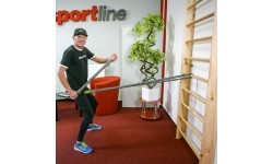 Zviedru vingrošanas siena inSPORTline Steadyline 250x80cm