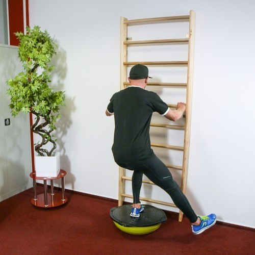 Zviedru vingrošanas siena inSPORTline Steadyline 250x80cm