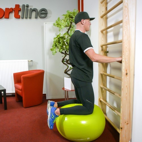 Zviedru vingrošanas siena inSPORTline Steadyline 250x80cm