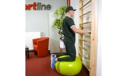 Zviedru vingrošanas siena inSPORTline Steadyline 250x80cm