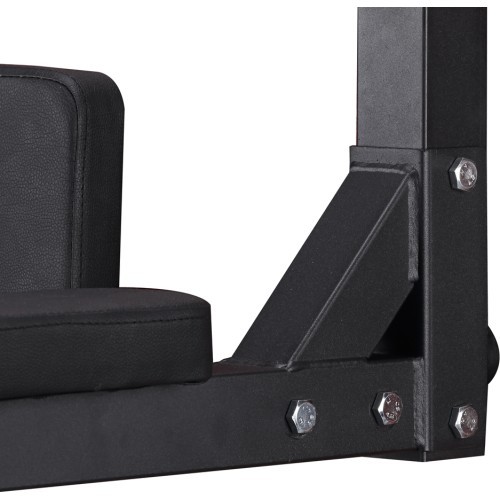 Wall-Mounted Pull-Up Bar inSPORTline L-Bar