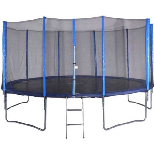 Batuts ar tīklu Spartan 460cm