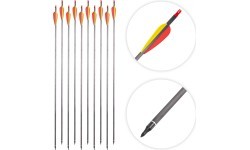 Carbon Arrows w/ Screw-In Tips inSPORTline Carbison 30”, 10pcs, Red-Yellow