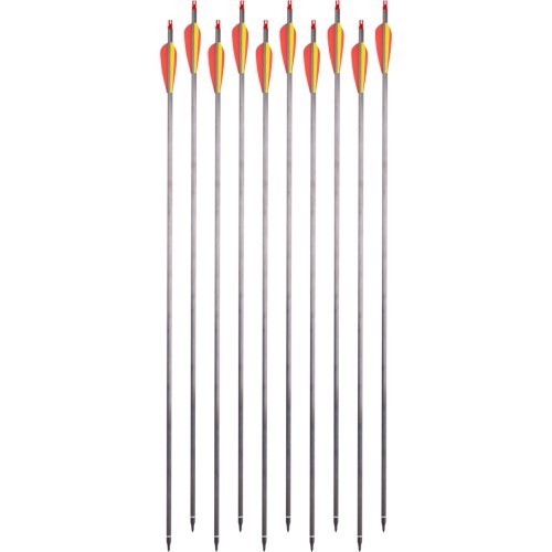 Carbon Arrows w/ Screw-In Tips inSPORTline Carbison 30”, 10pcs, Red-Yellow