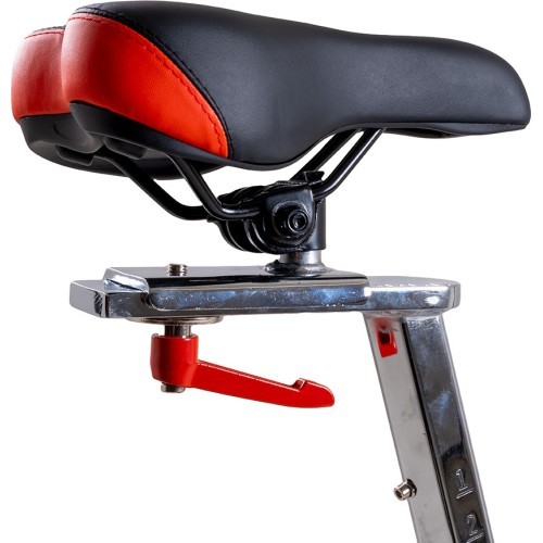 Spin Bike inSPORTline Epsilon Max