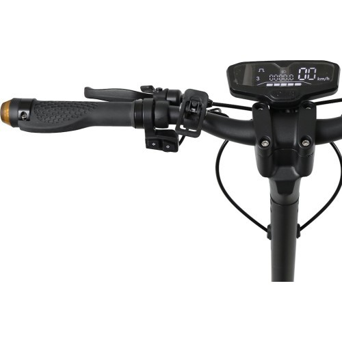 E-skūteris W-TEC Lambreto Max III 700 W 10"