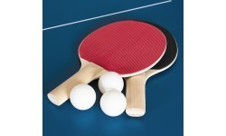 Galda tenisa galds inSPORTline Sunny Mini