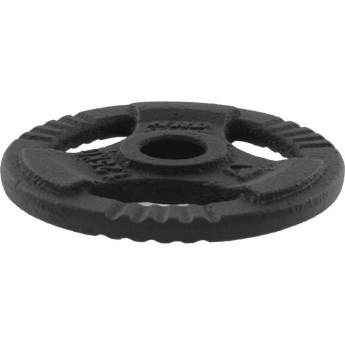 Čuguna atsvars ar rokturiem Platinum Fitness Beltor HRD System Line, 1,25 kg, 29 mm