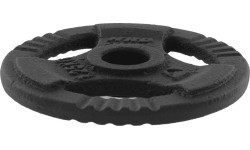 Čuguna atsvars ar rokturiem Platinum Fitness Beltor HRD System Line, 1,25 kg, 29 mm