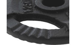 Čuguna atsvars ar rokturiem Platinum Fitness Beltor HRD System Line, 1,25 kg, 29 mm