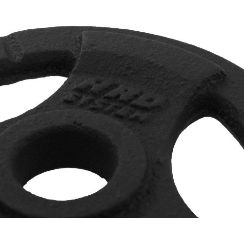 Čuguna atsvars ar rokturiem Platinum Fitness Beltor HRD System Line, 1,25 kg, 29 mm