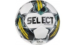 Футбольный мяч Select Pioneer TB IMS
