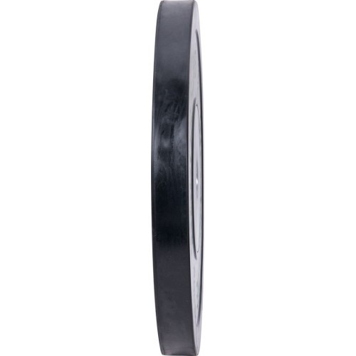 Rubber Weight Plate inSPORTline Bumper Plate 15 kg