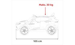 Elektromobilis Aston Martin DBX, sarkans