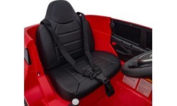 Aston Martin DBX vehicle Red