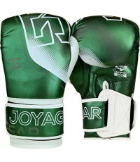 Joya Evolution Kickboxing gloves green