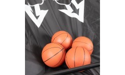 Двойной баскетбольный набор с табло inSPORTline Calister