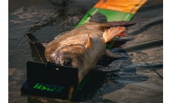 Makšķerēšanas svari ZFISH Challenger